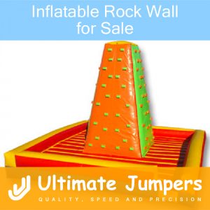 Inflatable Rock Wall for Sale