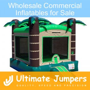 Wholesale Commercial Inflatables for Sale