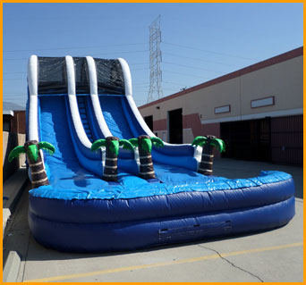 20' Inflatable Double Lane Tropical Water Slide