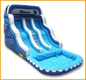 16' Double Lane Wavy Water Slide
