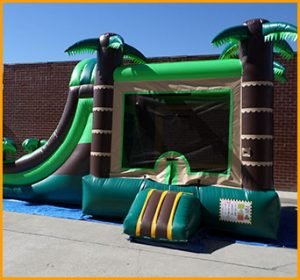 3 in 1 Wet Dry Tropical Bouncer Slide Combo