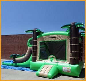 Wet/Dry Tropical Bouncer Slide Combo