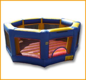 Inflatable Octagon Ring