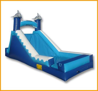 14′ Wet and Dry Dolphin Slide W025