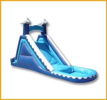 17′ Dolphin Water Slide W010