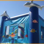2 in 1 Mini Sea World Combo C036