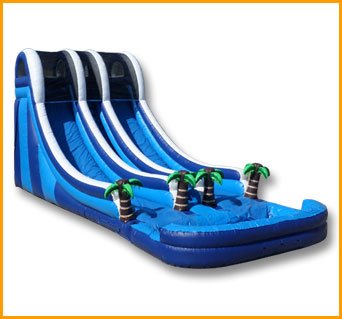 20′ Inflatable Double Lane Tropical Water Slide W078