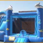 3 in 1 Inflatable Sea World Combo C067