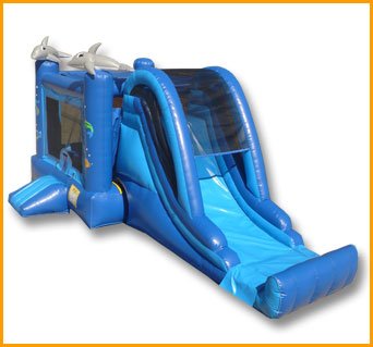 3 in 1 Inflatable Sea World Combo C067