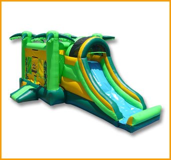 3 in 1 Tropical Forest Combo C029