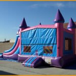 3 in 1 Wet Dry Princes Castle Module Combo C109