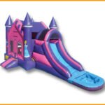 3 in 1 Wet Dry Princes Combo C074