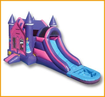 3 in 1 Wet Dry Princes Combo C074