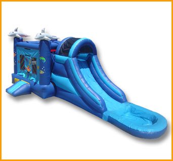 3 in 1 Wet and Dry Sea World Combo C072