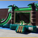 3 in 1 Wet Dry Tropical Bouncer Slide Combo C103