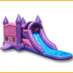 3 in 1 Wet/Dry Pink Purple Castle Module Combo C111