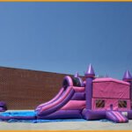 3 in 1 Wet/Dry Pink Purple Castle Module Combo C111