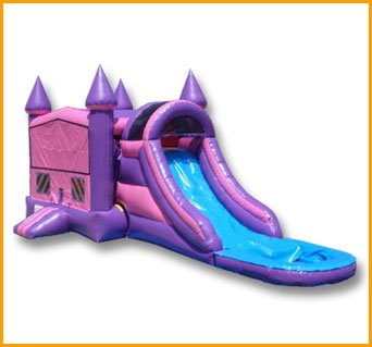 3 in 1 Wet/Dry Pink Purple Castle Module Combo C111