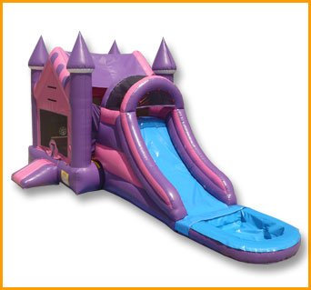 3 in 1 Wet/Dry Queen Castle Combo C021