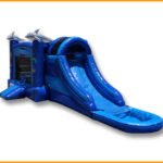 3 in 1 Wet/Dry Sea World Combo C087