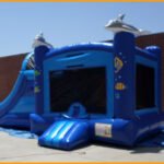 3 in 1 Wet/Dry Sea World Combo C087
