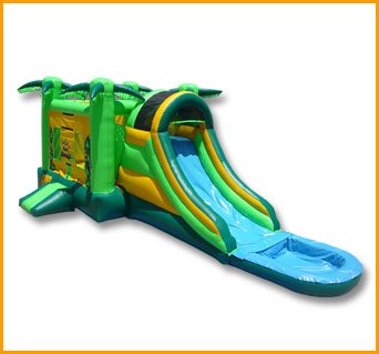 3 in 1 Wet/Dry Tropical Forest Combo C028