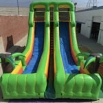 20′ Dual Lane Tropical Slide S041