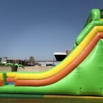 20′ Dual Lane Tropical Slide S041