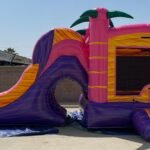 3 in 1 Wet & Dry Flamingo Combo C166