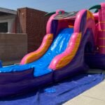 3 in 1 Wet & Dry Flamingo Combo C166