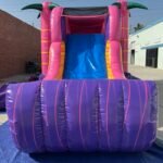 3 in 1 Wet & Dry Flamingo Combo C166