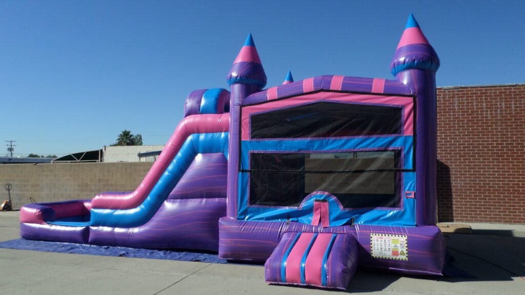 Dual Lane Wet & Dry Princess Combo C154