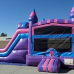 Dual Lane Wet & Dry Princess Combo C154