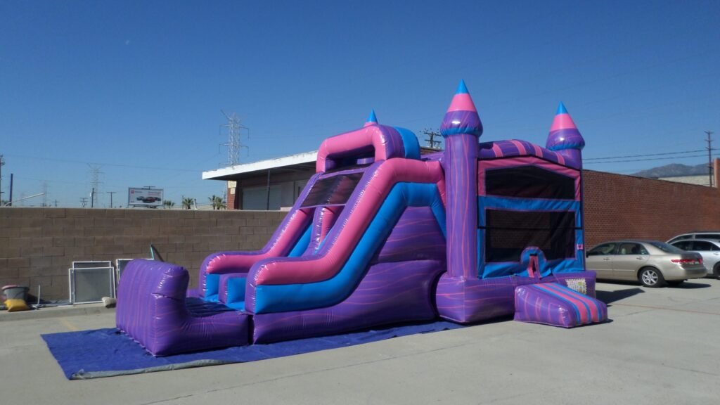 Dual Lane Wet & Dry Princess Combo C154