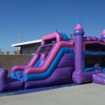 Dual Lane Wet & Dry Princess Combo C154