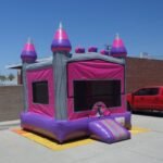 Princess Castle Module J137