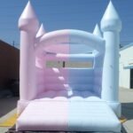 Gender Reveal J138
