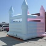 Gender Reveal J138