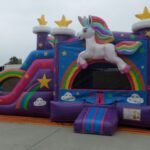 Dual Lane Wet & Dry Unicorn Combo C170