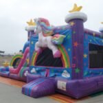 Dual Lane Wet & Dry Unicorn Combo C170