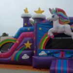 Dual Lane Wet & Dry Unicorn Combo C170