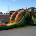 Dino Twins Wet & Dry Combo C175