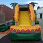Dino Twins Wet & Dry Combo C175