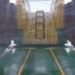 Dino Twins Wet & Dry Combo C175
