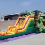 Dino Twins Dual Lane Wet & Dry Combo C186