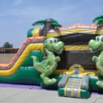 Dino Twins Dual Lane Wet & Dry Combo C186