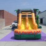 Dino Twins Dual Lane Wet & Dry Combo C186