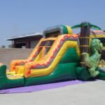 Dino Twins Dual Lane Wet & Dry Combo C186