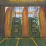 Dino Twins Dual Lane Wet & Dry Combo C186