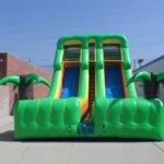 20′ Dual Lane Tropical Slide S041